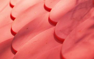 Prees Wood plastic roof costs