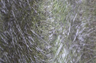 Prees Wood fibreglass roof work